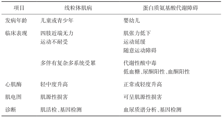 表4 线粒体肌病及蛋白质氨基酸代谢障碍肌病临床特点